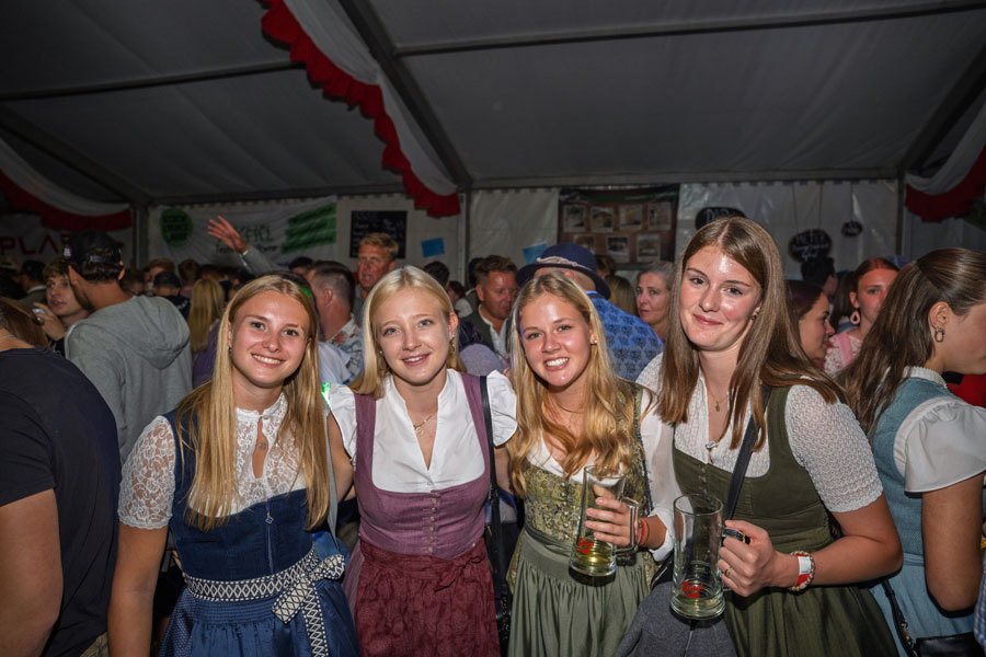 Platzhirsch Paparazzi Foto